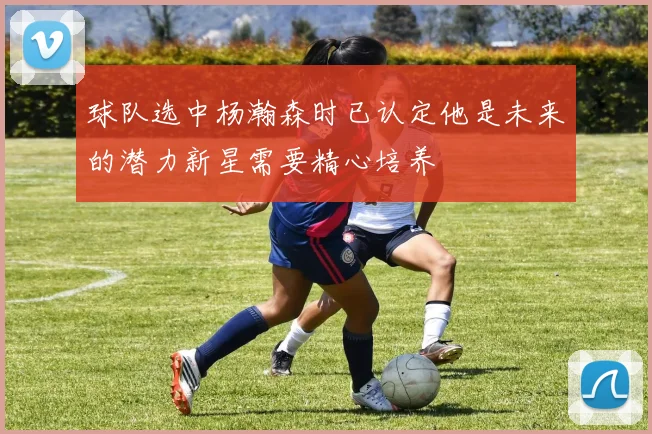 球队选中杨瀚森时已认定他是未来的潜力新星需要精心培养