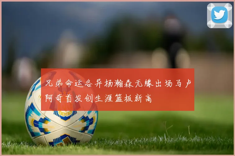 兄弟命运各异杨瀚森无缘出场马卢阿奇首发创生涯篮板新高